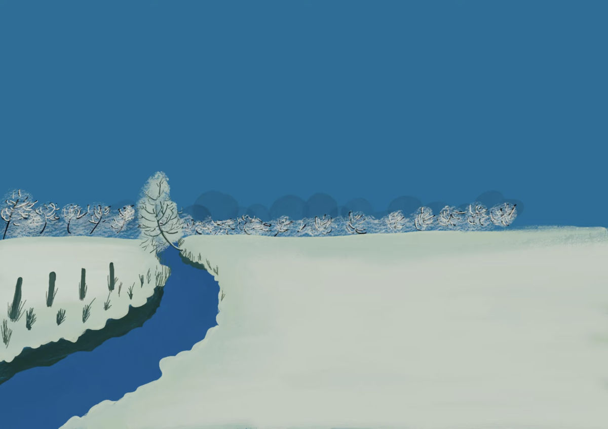 Illustration Process Video